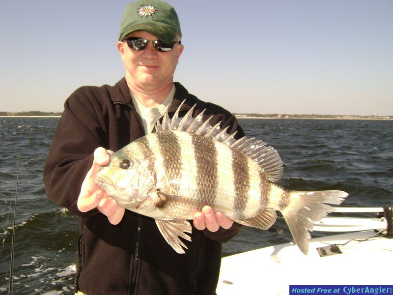 More Sheepshead too.