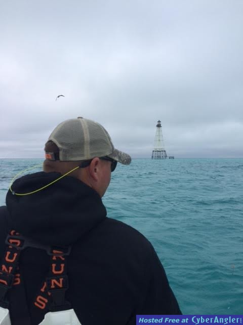 Sardine fishing