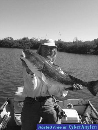 Click to Enlarge Photo