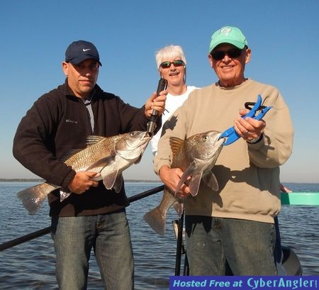 Black Drum on Mosquito Lagoon