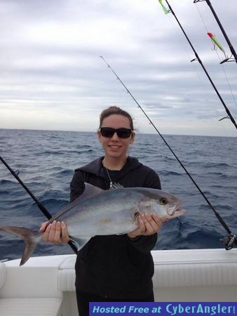 Amberjack Attack