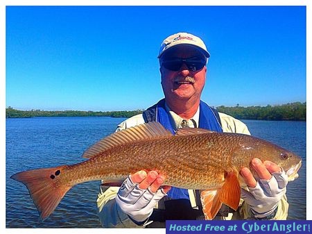 Click to Enlarge Photo