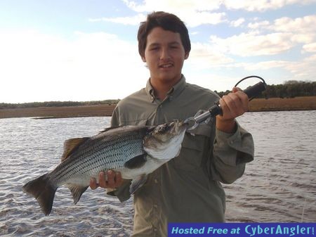 8-Pound_Striper_caught_on_the_St_Johns_River_02-01-20151