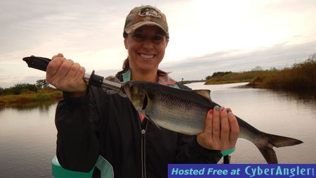 Jennifer's American Shad