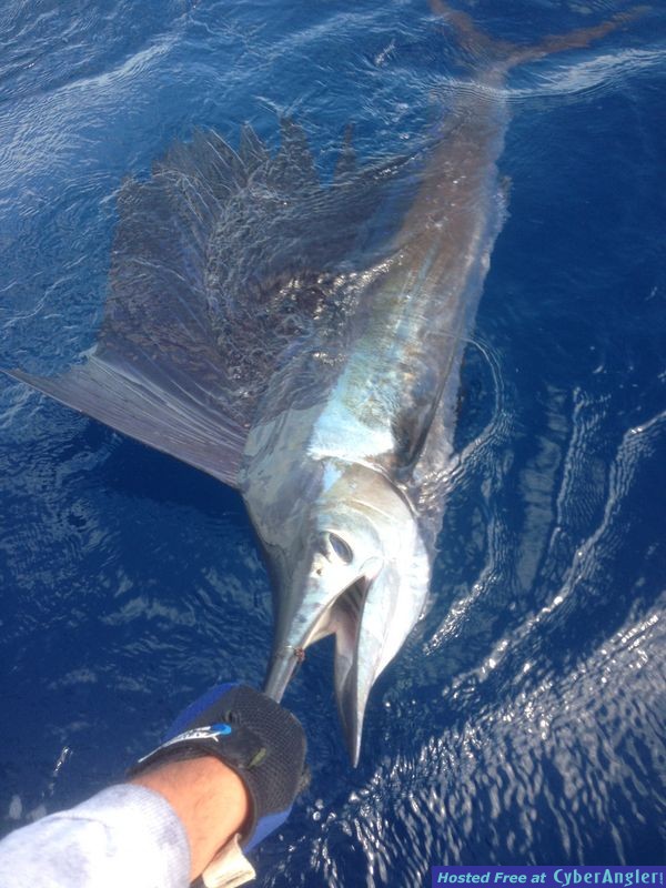 Fishing Islamorada, FL