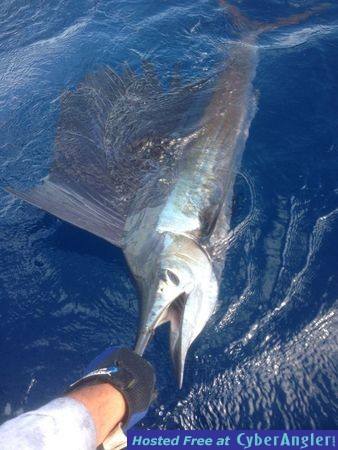 Fishing Islamorada, FL