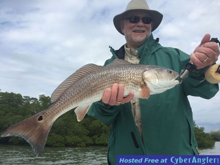 Click to Enlarge Photo