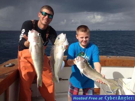 Golden tilefish