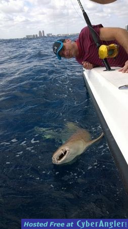 Click to Enlarge Photo