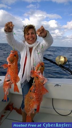 Click to Enlarge Photo