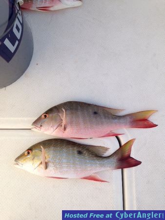 Click to Enlarge Photo