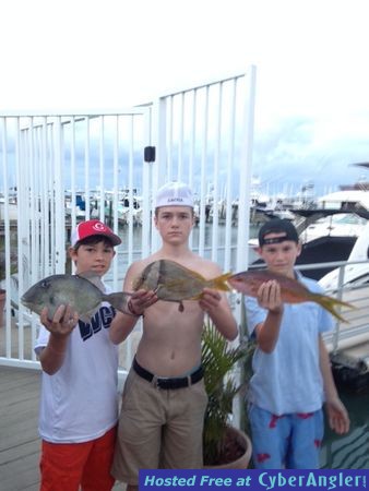 Click to Enlarge Photo