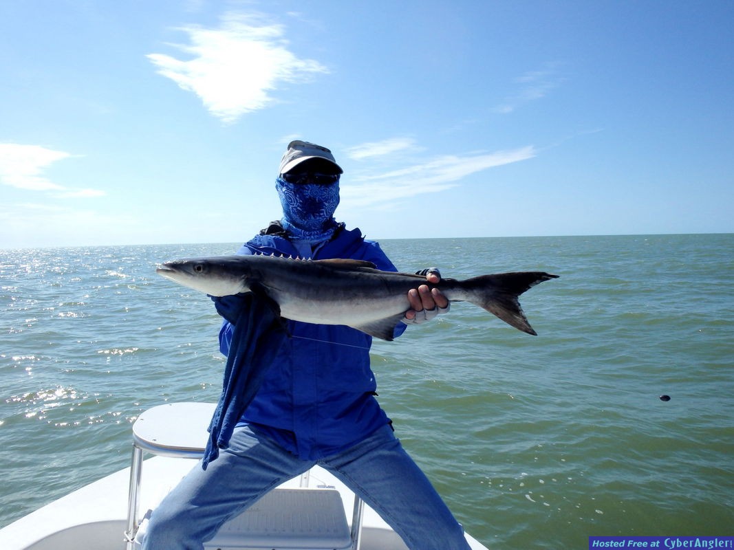 Jerry_n_cobia