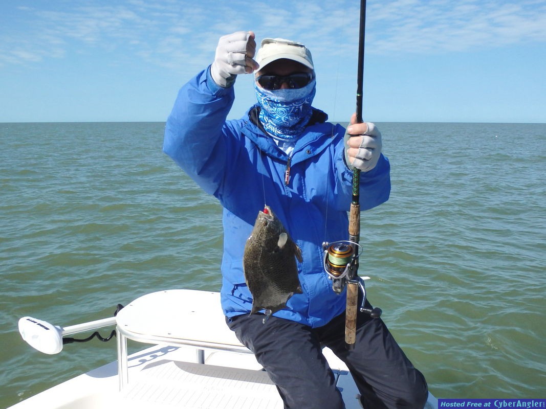 Jerry_n_tripletail