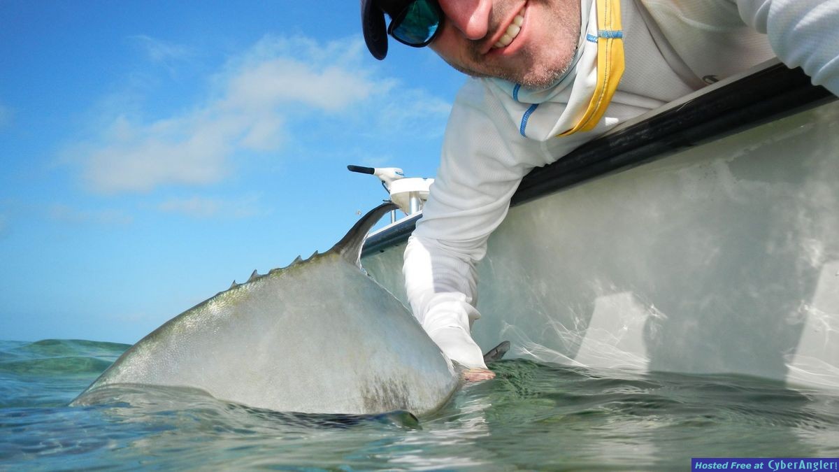lower keys permit