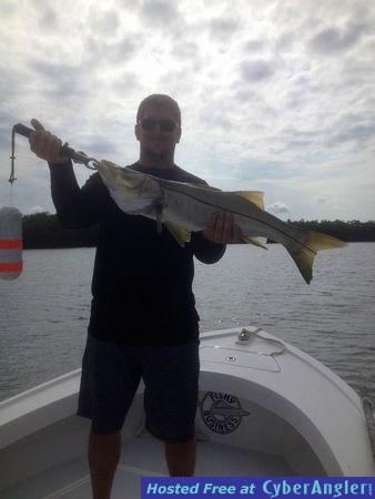 snook, reds, trout, snapper