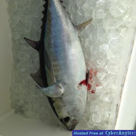 Click to Enlarge Photo