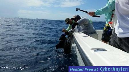 Click to Enlarge Photo