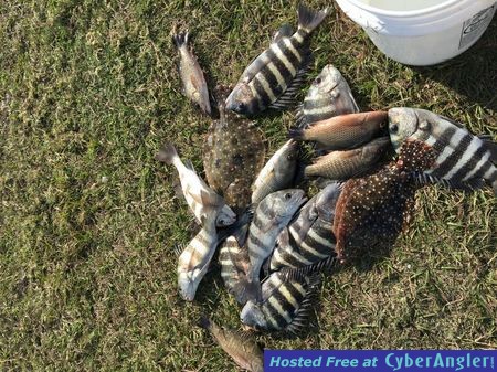 Click to Enlarge Photo