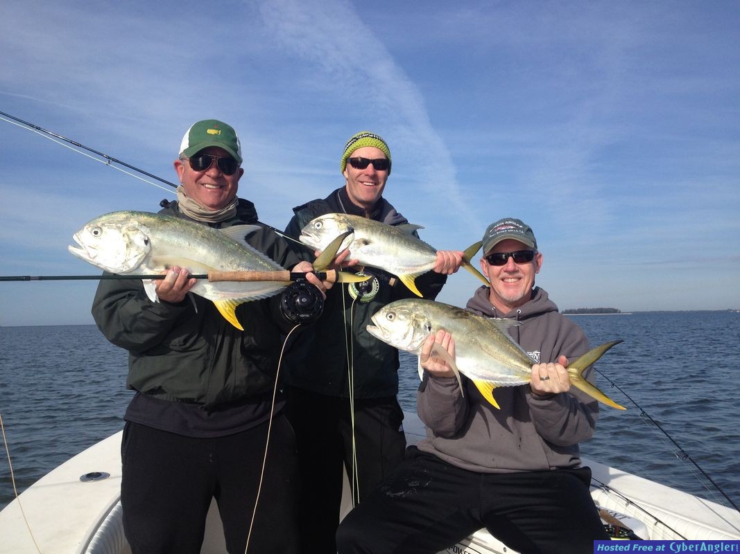 Permit, Pompano, Jack Crevalle, Shark, Cobia, Redfish, Snapper