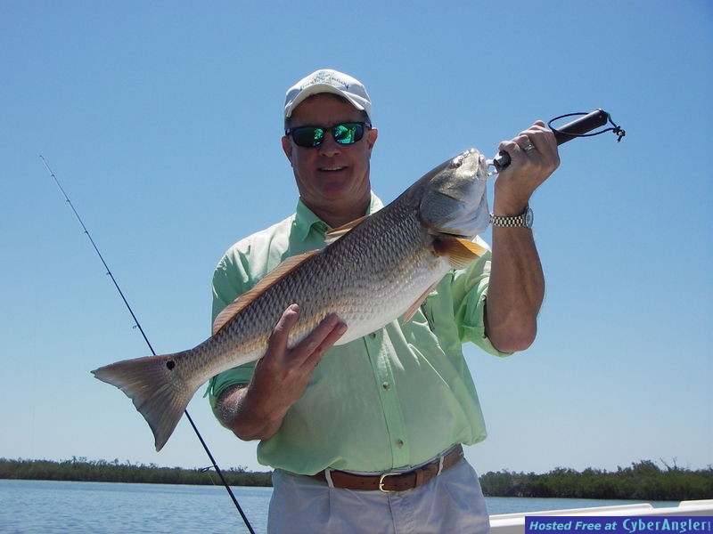 Alan Redfish