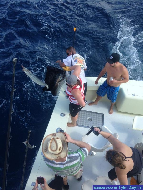Sailfishing fort lauderdale