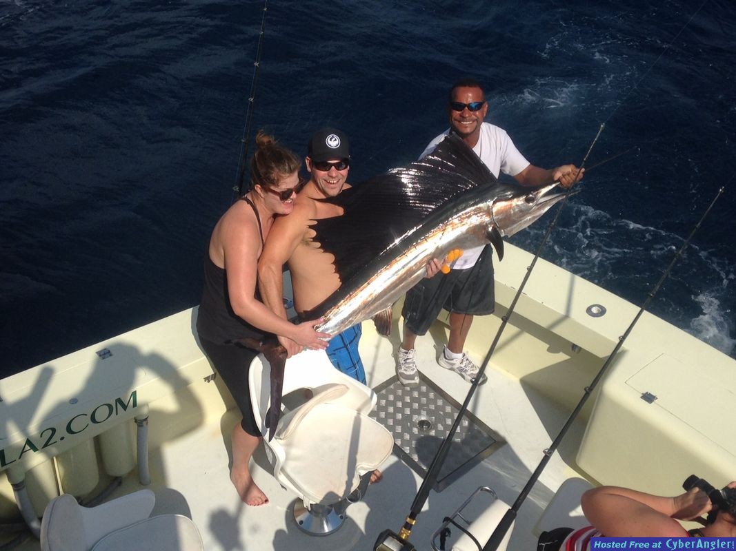 Sailfishing fort lauderdale