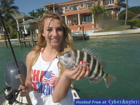 Click to Enlarge Photo