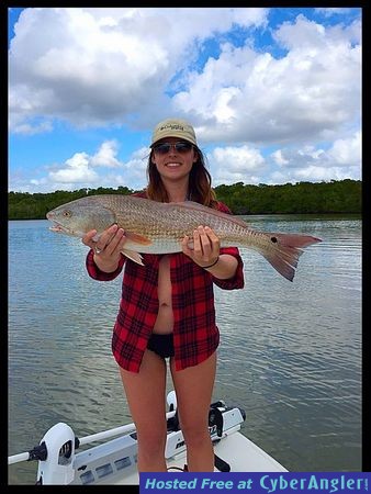 Click to Enlarge Photo