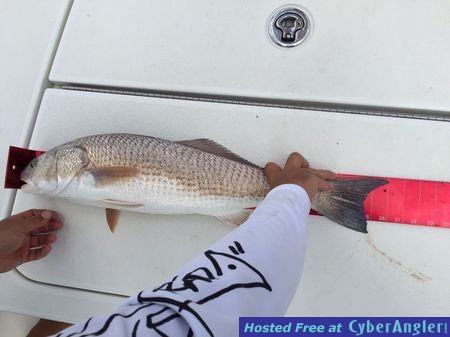 Click to Enlarge Photo