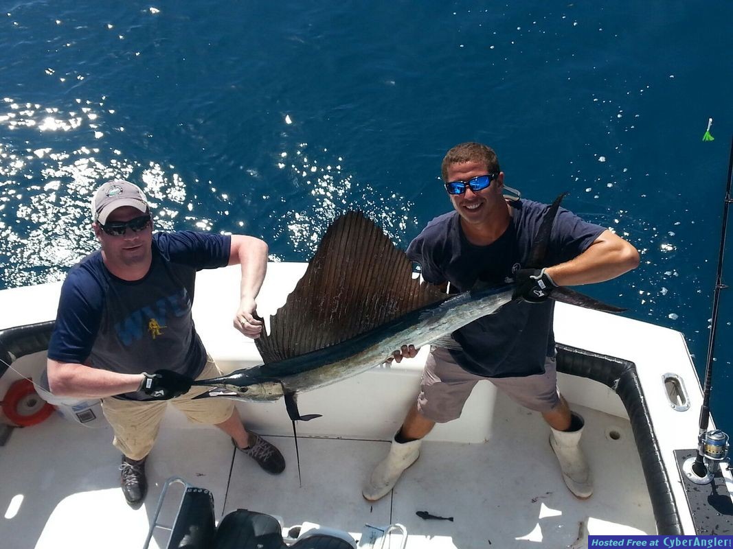 Sailfishing off Miami Beach, FL
