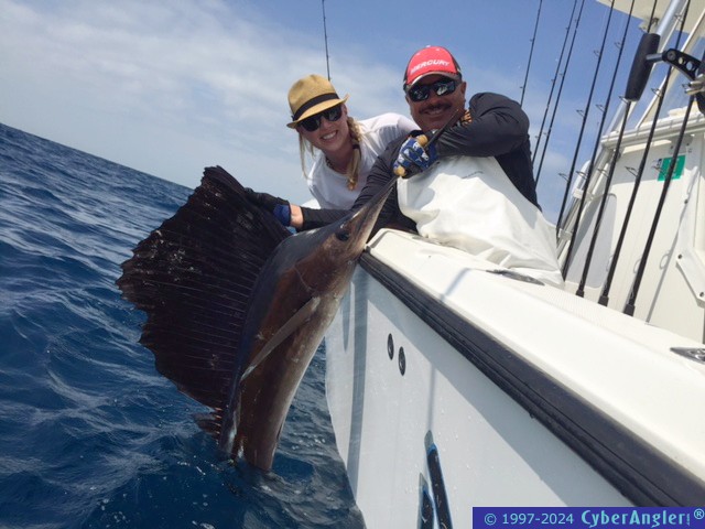 Sailfish_Feb