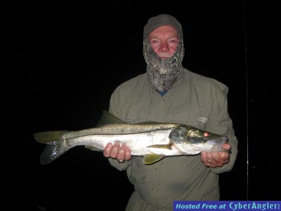 Everglades Snook