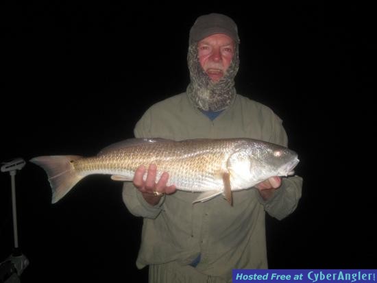 Everglades Redfish