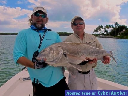 50 lb Black Drum