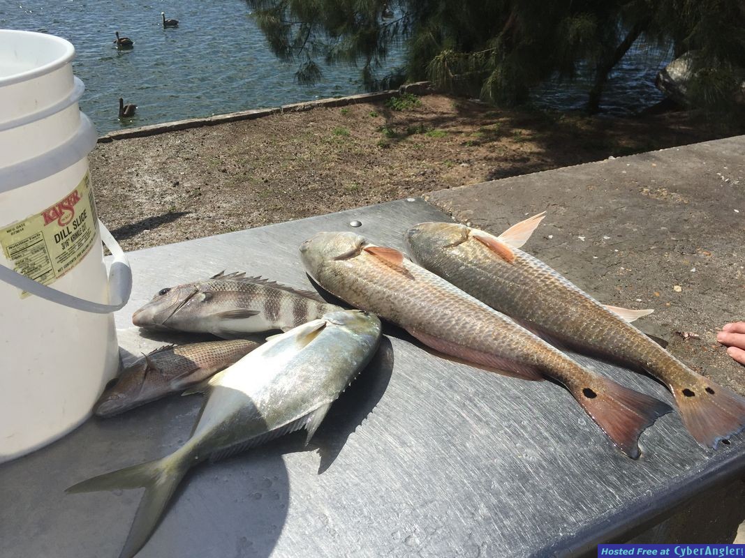 March Fishing