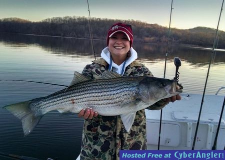 Click to Enlarge Photo