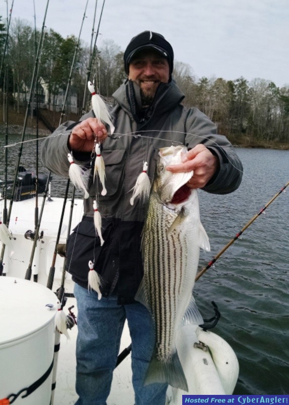 Lake Lanier Striped Bass