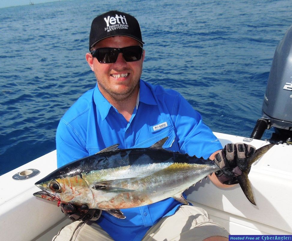 Tasty Blackfin Tuna