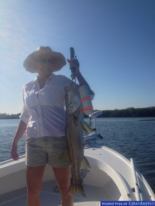 snook, reds, trout, snapper