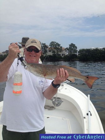 snook, reds, trout, snapper