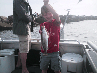 www.captdaves.com
