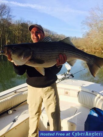 Big striped bass from lewis smith lake, Alabama