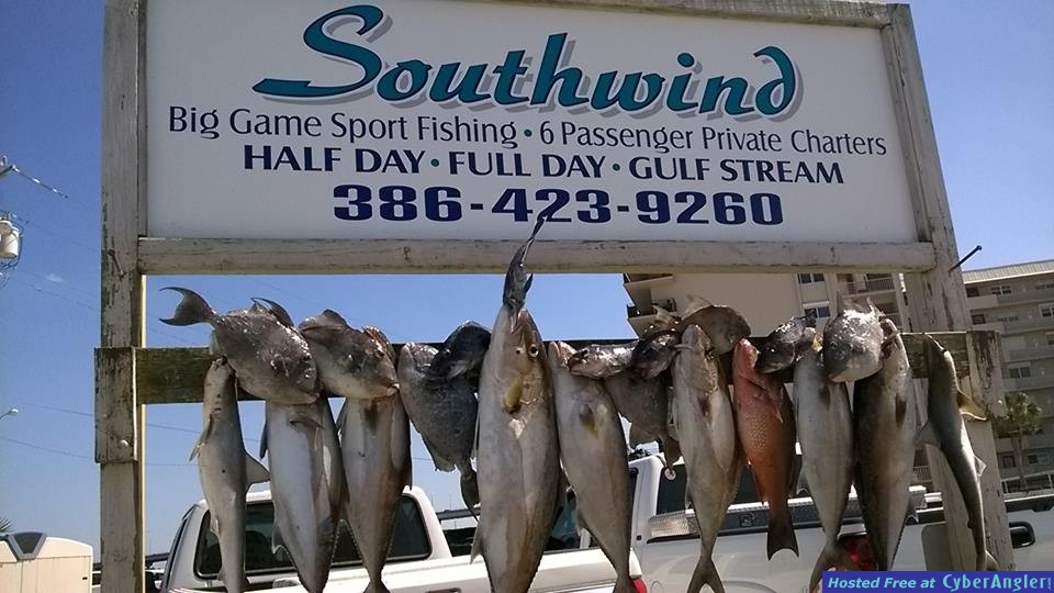 Offshore Fishing Ponce Inlet
