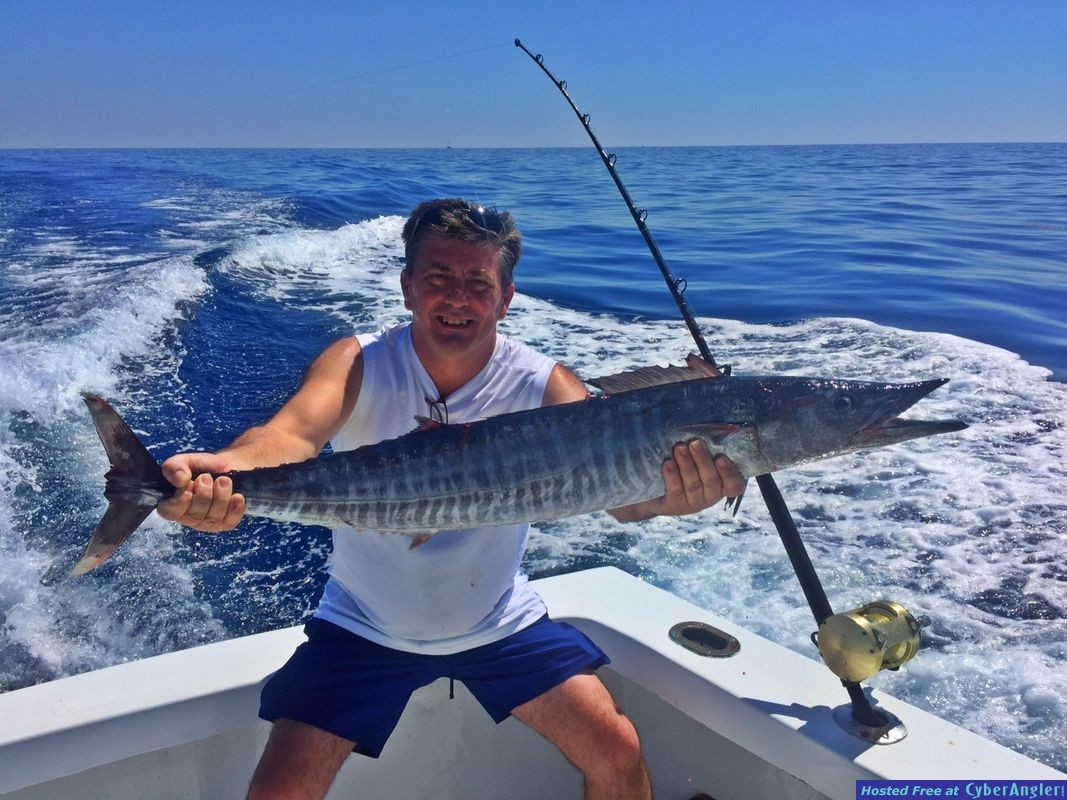florida_keys_nice_wahoo
