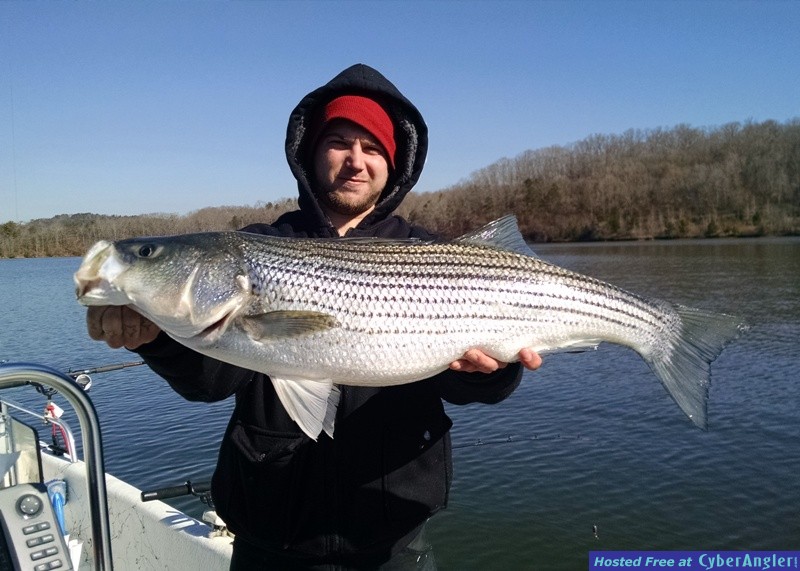 Lake Lanier Fishing