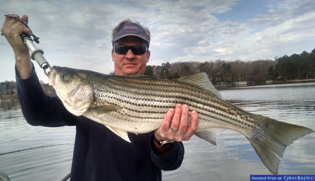 Lake Lanier Fishing Guide