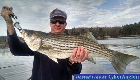 Click to Enlarge Photo