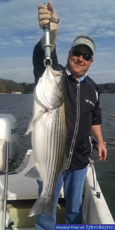 Lake Lanier Fishing Charter