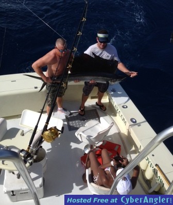 Sailfish